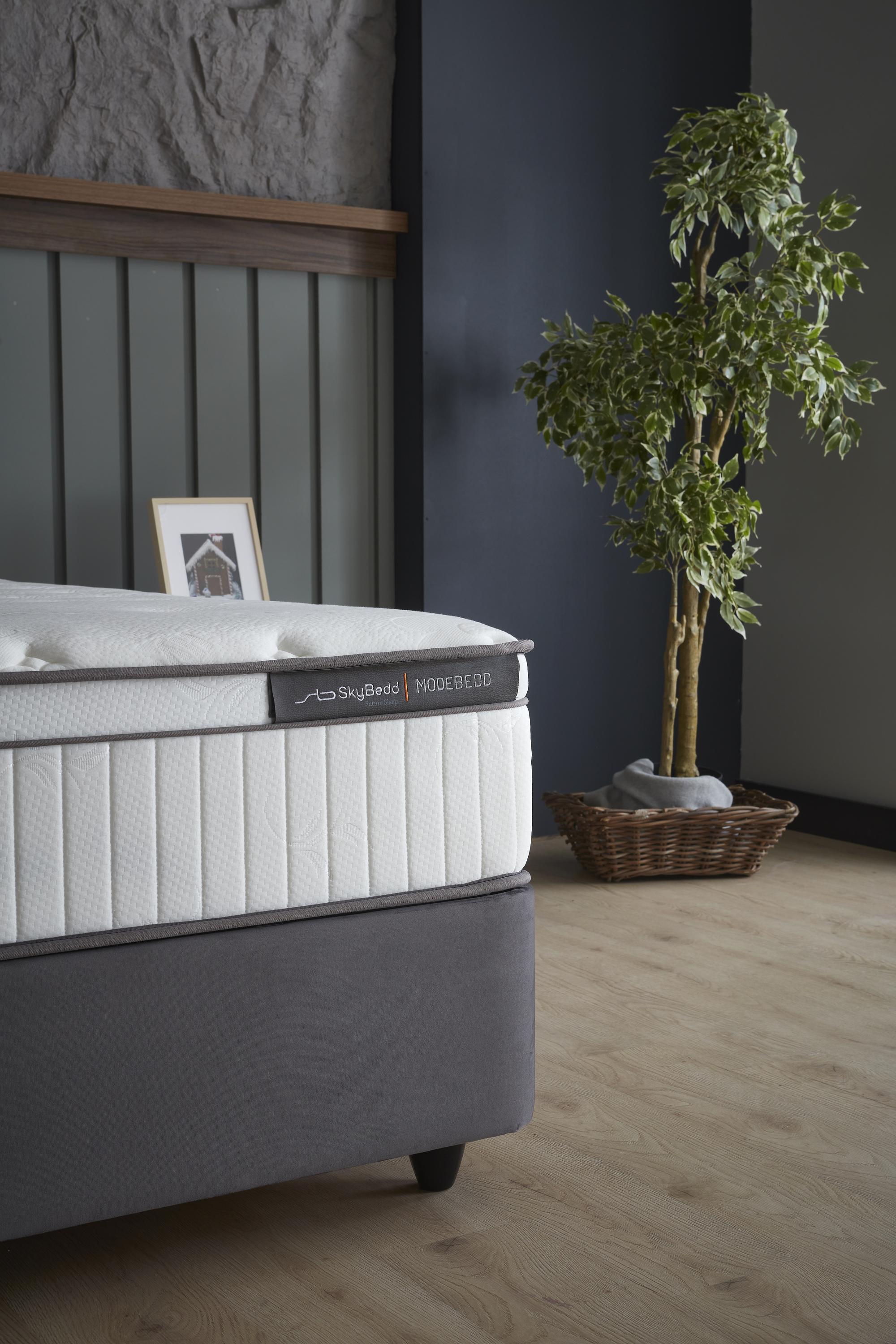Boxspringbett 'ModeBedd' mit ergonomischer Matratze und integriertem Stauraum, neben einer Pflanze im modernen Interieur, präsentiert sich als Teil der SkyBedd-Matratzenfamilie.